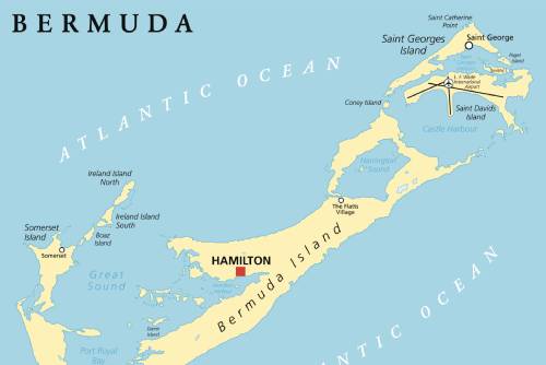Bermuda Service Image